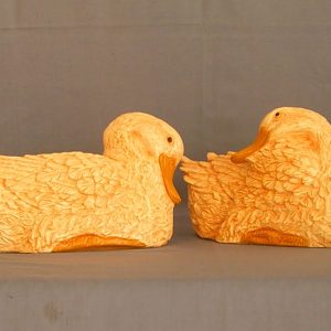 Canards blancs G. M