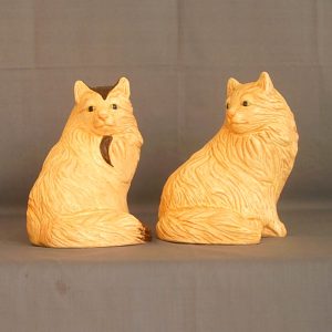 Chat Persan  1