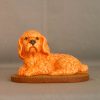 Chien (caniche)