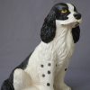 Chien ( Cocker  G.  M )