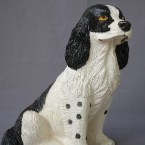 Chien ( Cocker  G.  M )